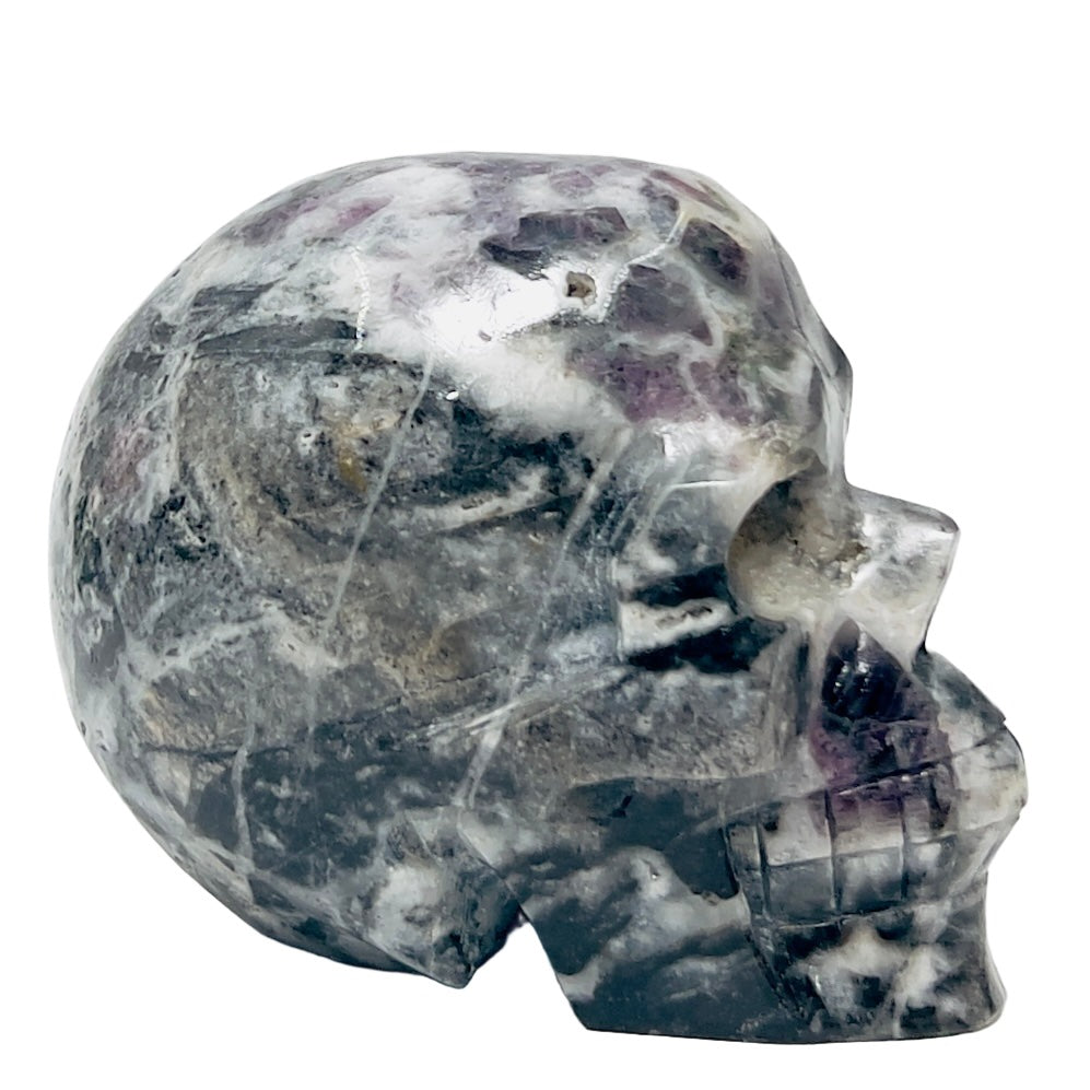 Zebra Stone Rock with Fluorite Skull Healing Crystal Skull Carving 985g