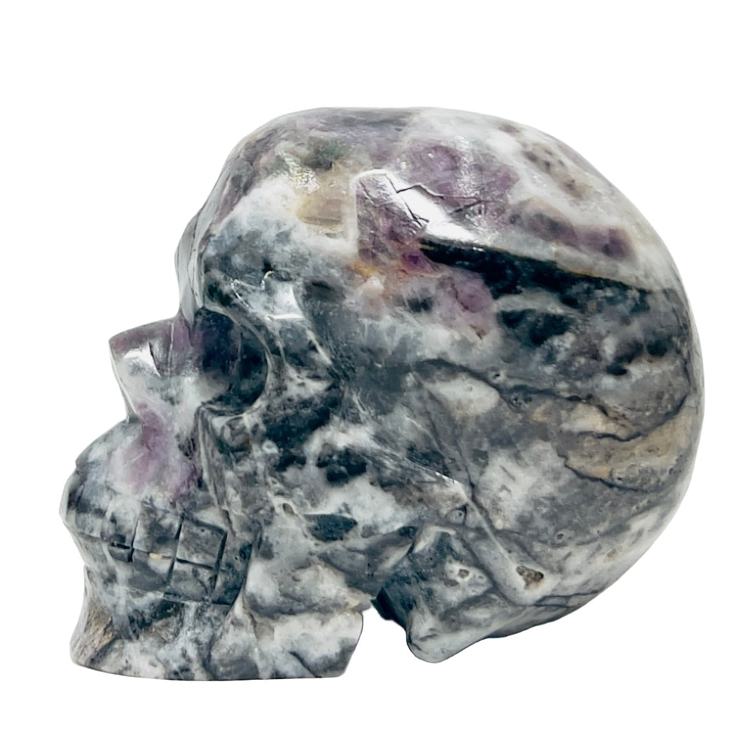 Zebra Stone Rock with Fluorite Skull Healing Crystal Skull Carving 985g