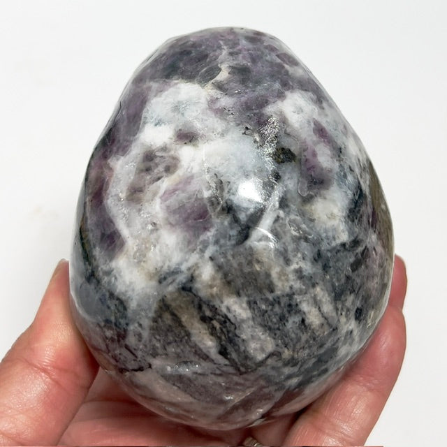 Zebra Stone Rock with Fluorite Skull Healing Crystal Skull Carving 985g