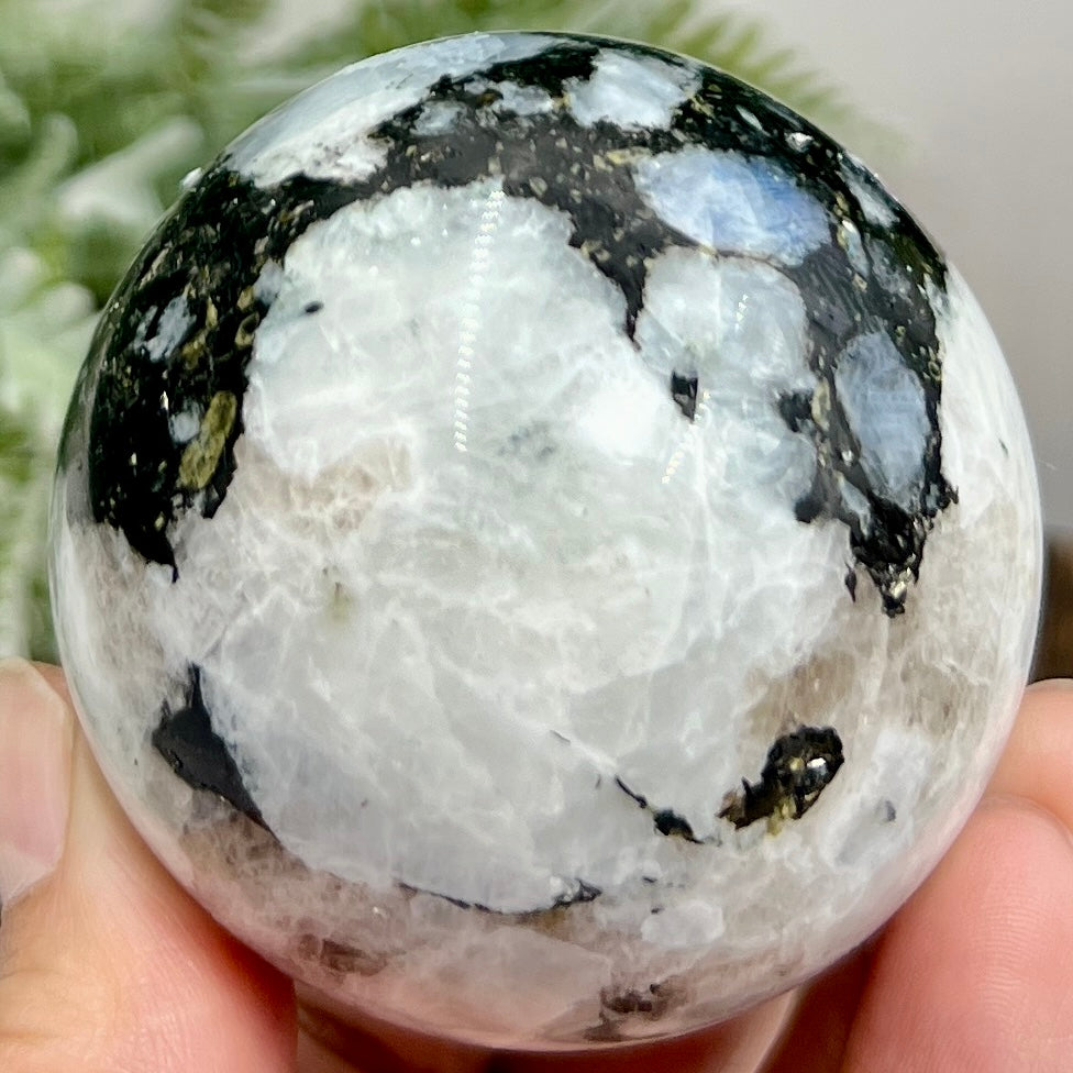 Rainbow Moonstone with Black Tourmaline Sphere Healing Crystal Ball 280g 58mm