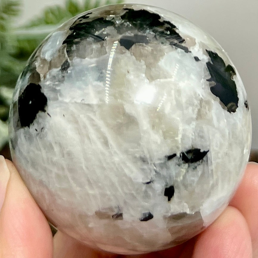 Rainbow Moonstone with Black Tourmaline Sphere Healing Crystal Ball 262g 57mm