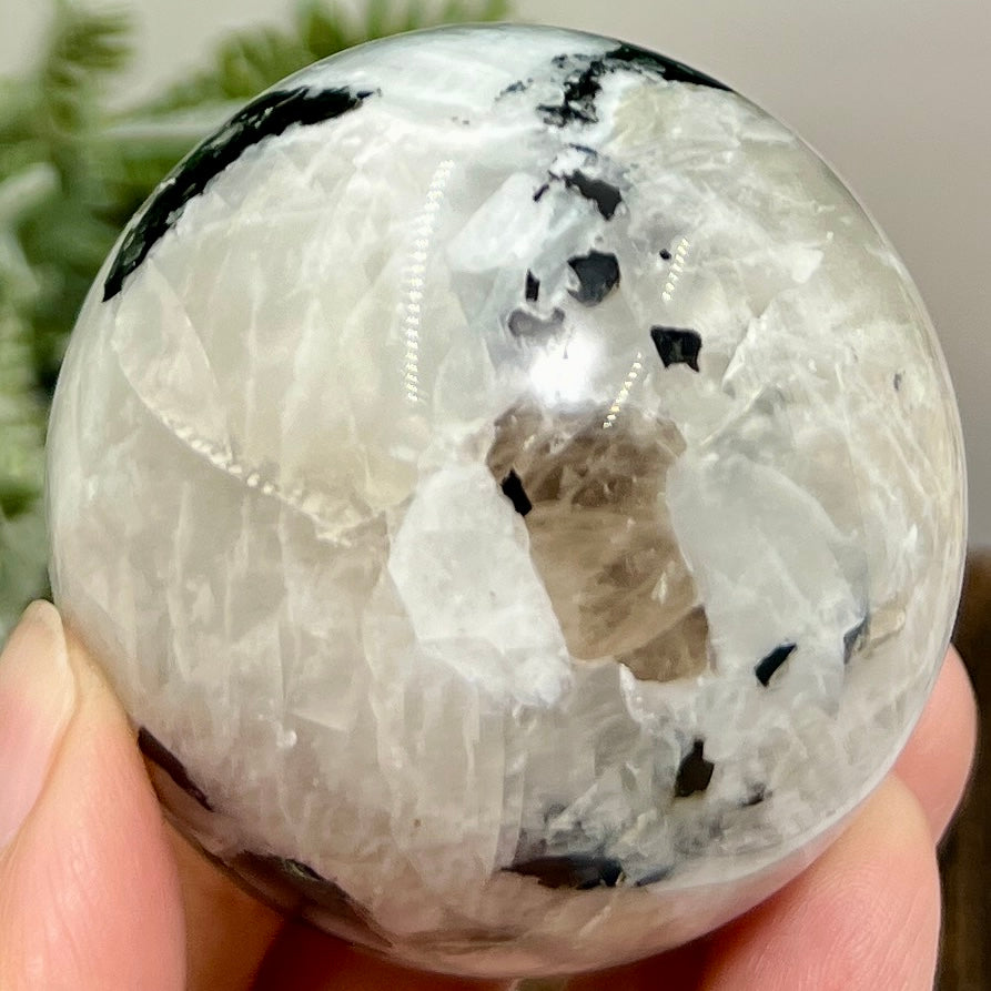 Rainbow Moonstone with Black Tourmaline Sphere Healing Crystal Ball 262g 57mm