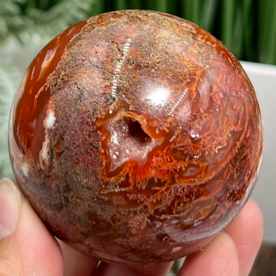 Red Moss Agate Sphere Rare Healing Crystal Ball 308g / 62mm