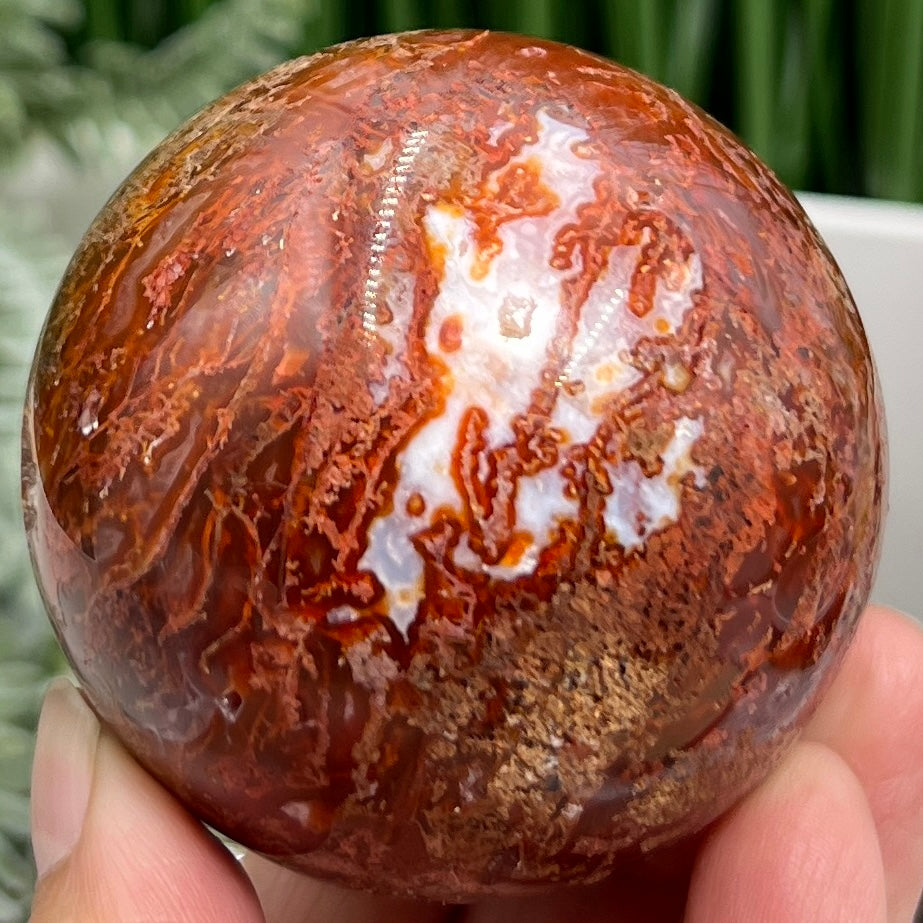 Red Moss Agate Sphere Rare Healing Crystal Ball 308g / 62mm