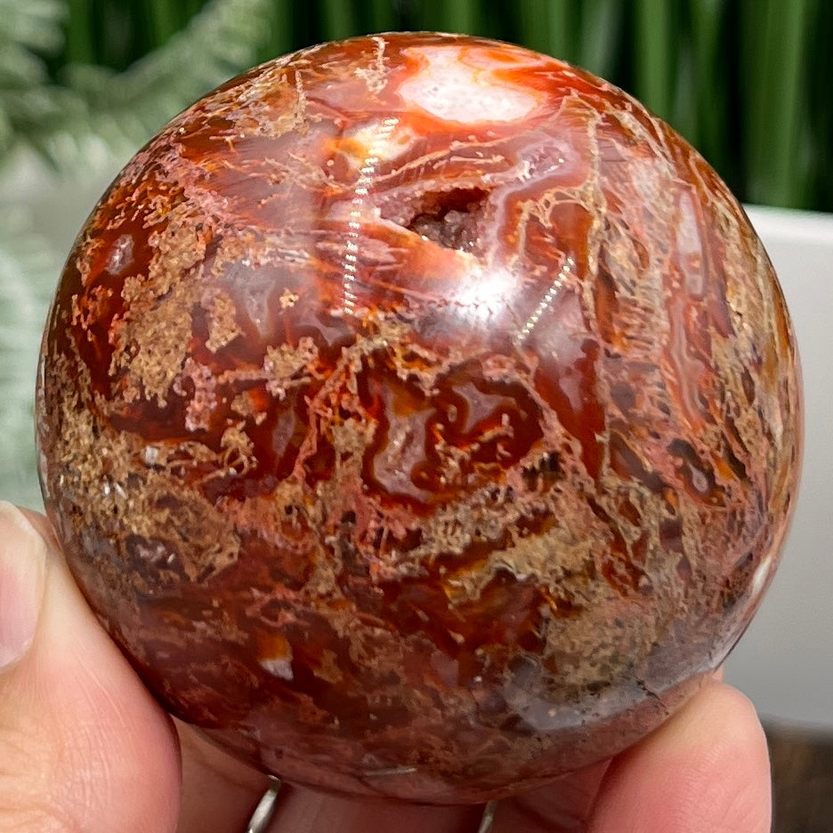 Red Moss Agate Sphere Rare Healing Crystal Ball 308g / 62mm