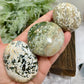 Ocean Sea Bubble Jasper Orbicular Palm Stones Worry Meditation Crystals