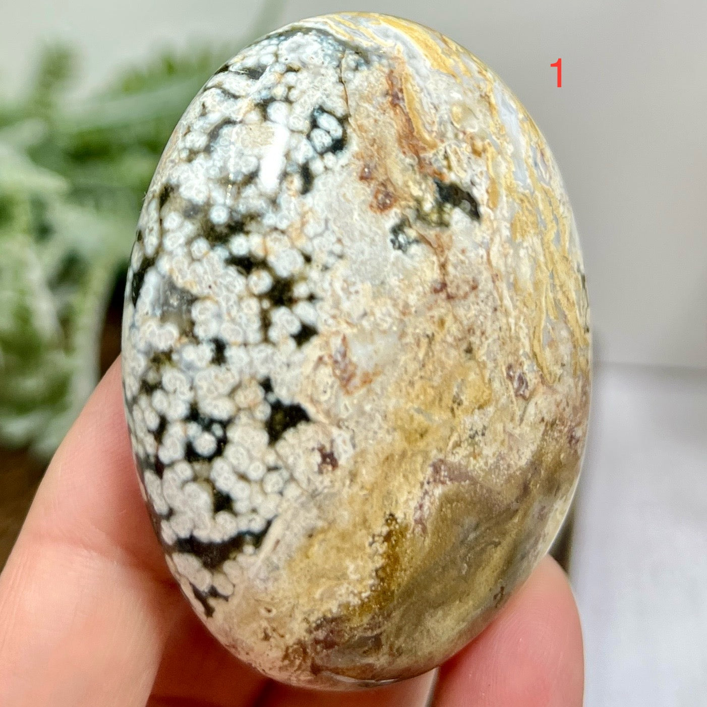 Ocean Sea Bubble Jasper Orbicular Palm Stones Worry Meditation Crystals