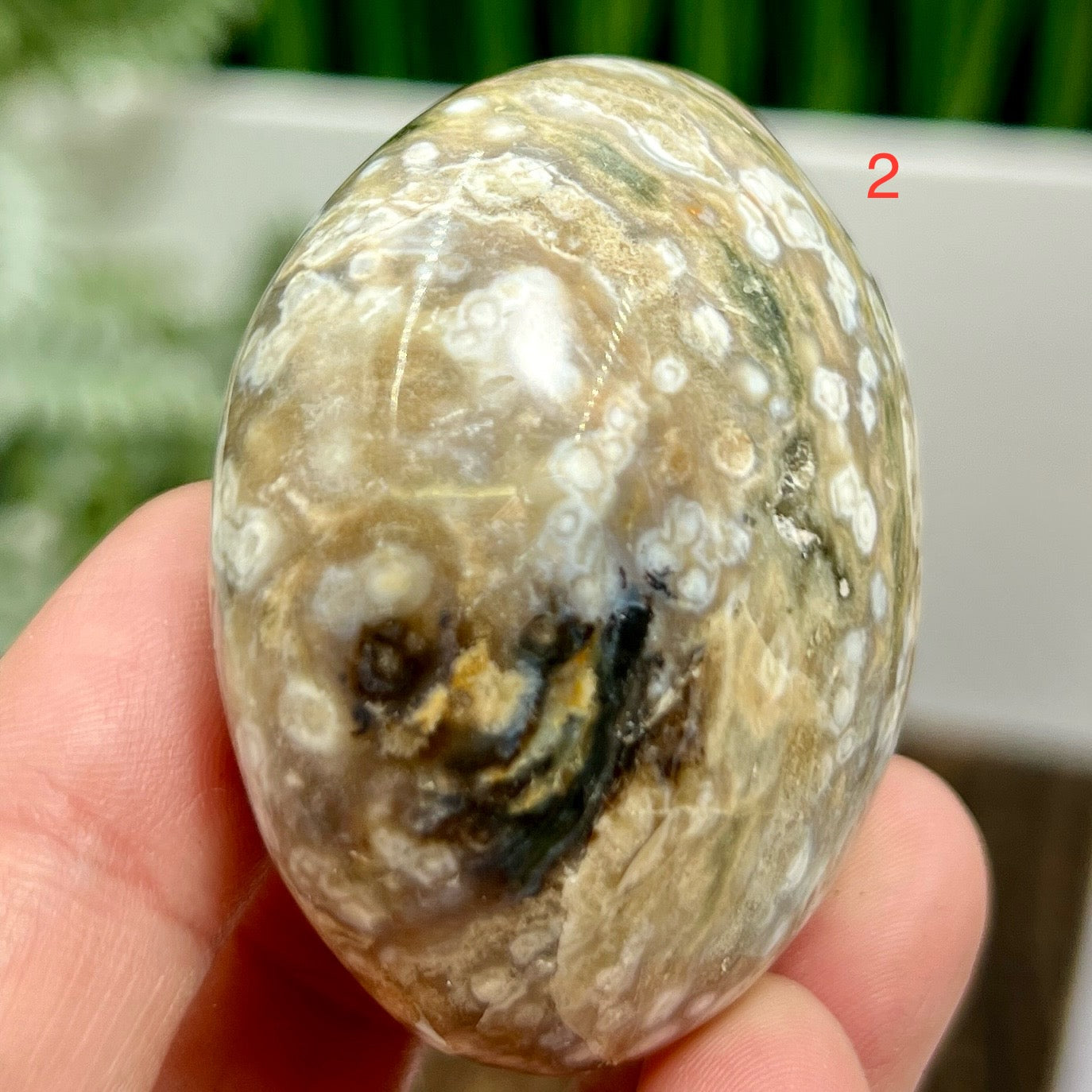 Ocean Sea Bubble Jasper Orbicular Palm Stones Worry Meditation Crystals