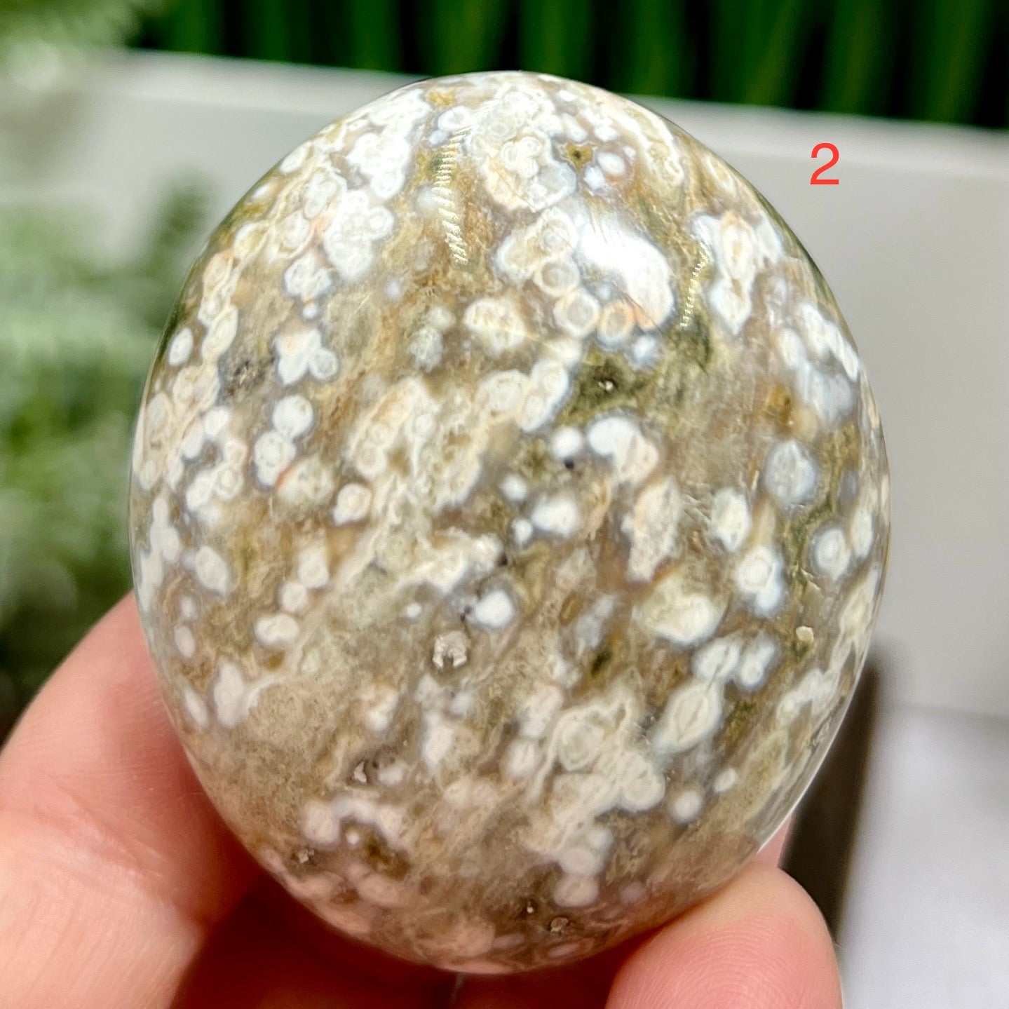 Ocean Sea Bubble Jasper Orbicular Palm Stones Worry Meditation Crystals