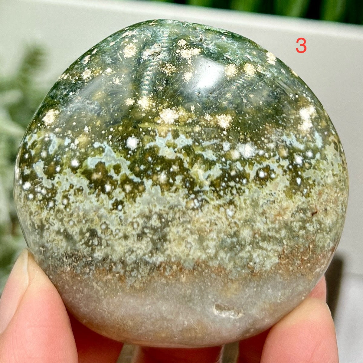 Ocean Sea Bubble Jasper Orbicular Palm Stones Worry Meditation Crystals