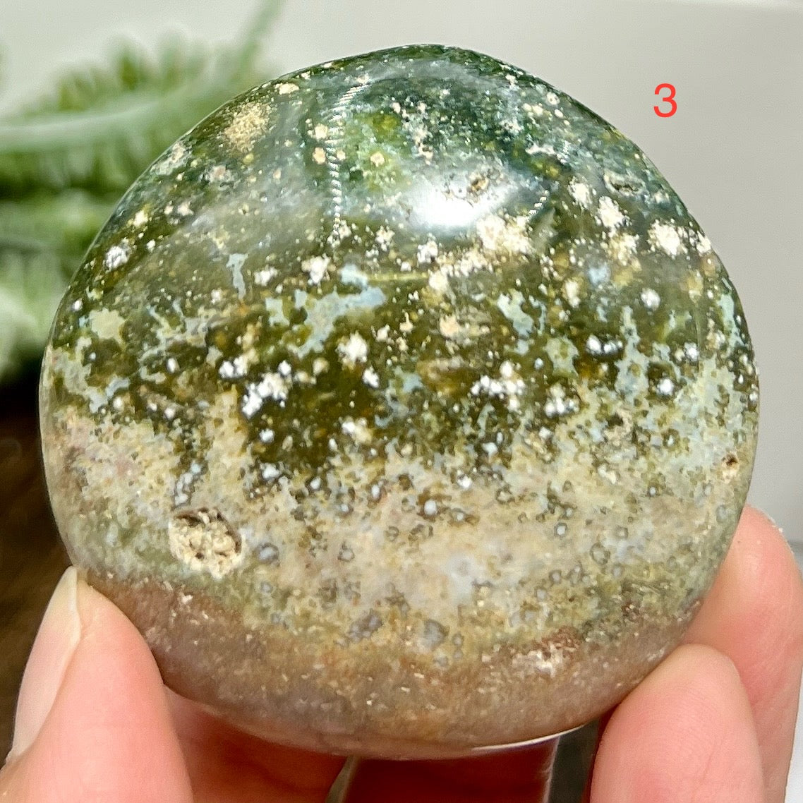 Ocean Sea Bubble Jasper Orbicular Palm Stones Worry Meditation Crystals