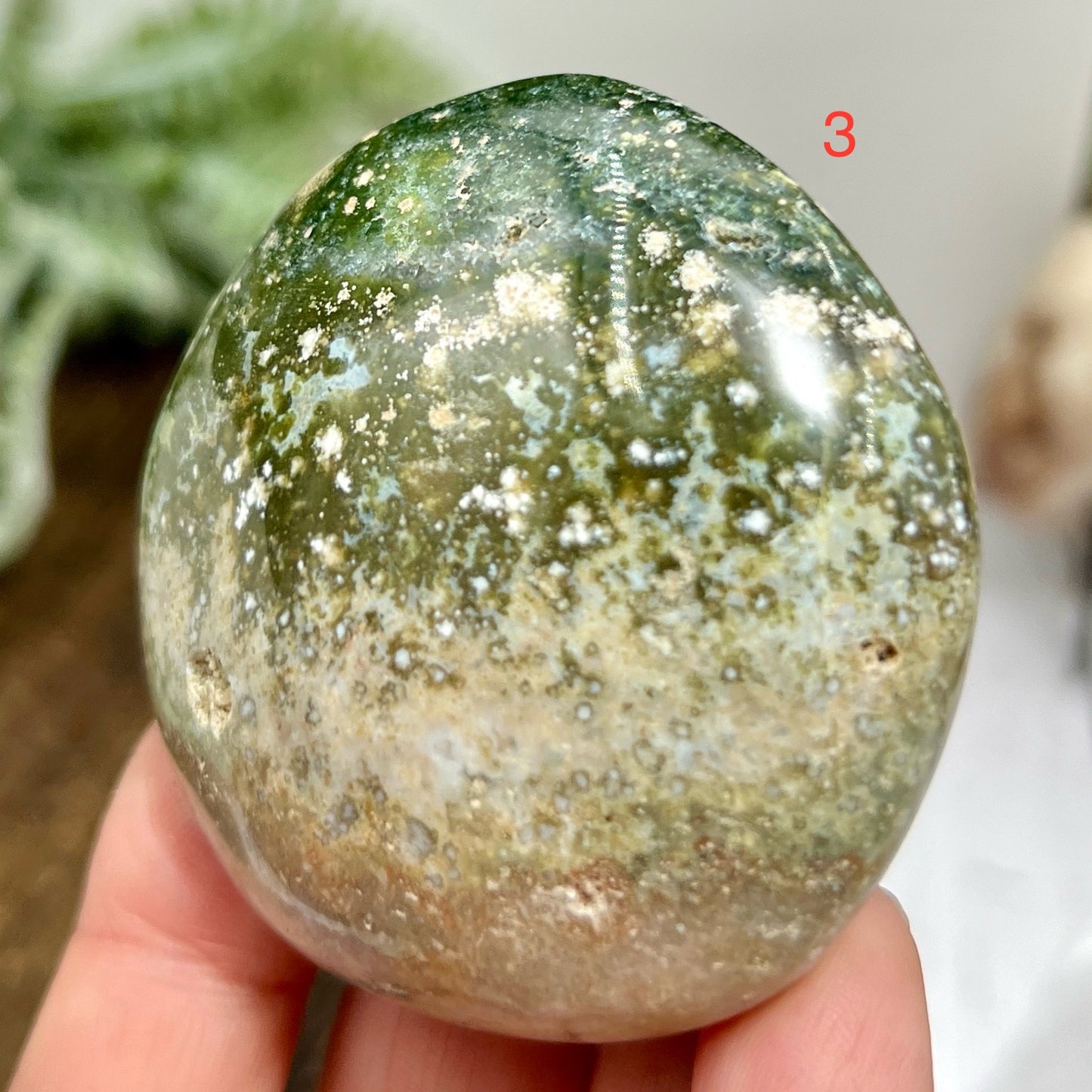 Ocean Sea Bubble Jasper Orbicular Palm Stones Worry Meditation Crystals