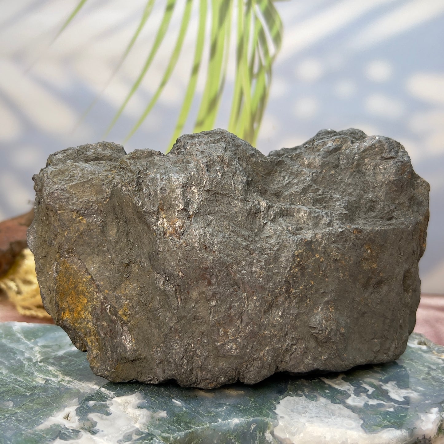 Large Shungite Raw Specimen Natural Crystal Australian Seller