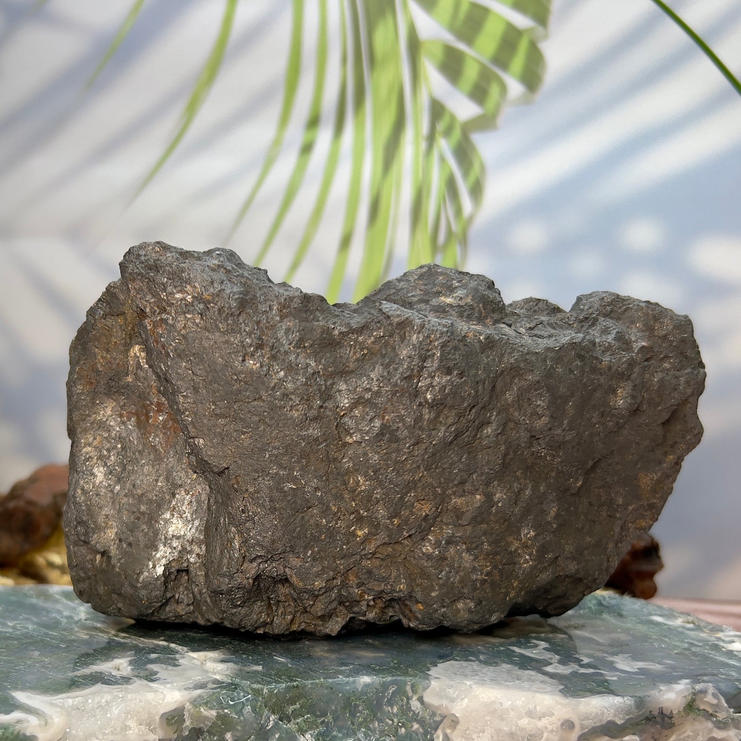 Large Shungite Raw Specimen Natural Crystal Australian Seller