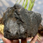 Large Shungite Raw Specimen Natural Crystal Australian Seller