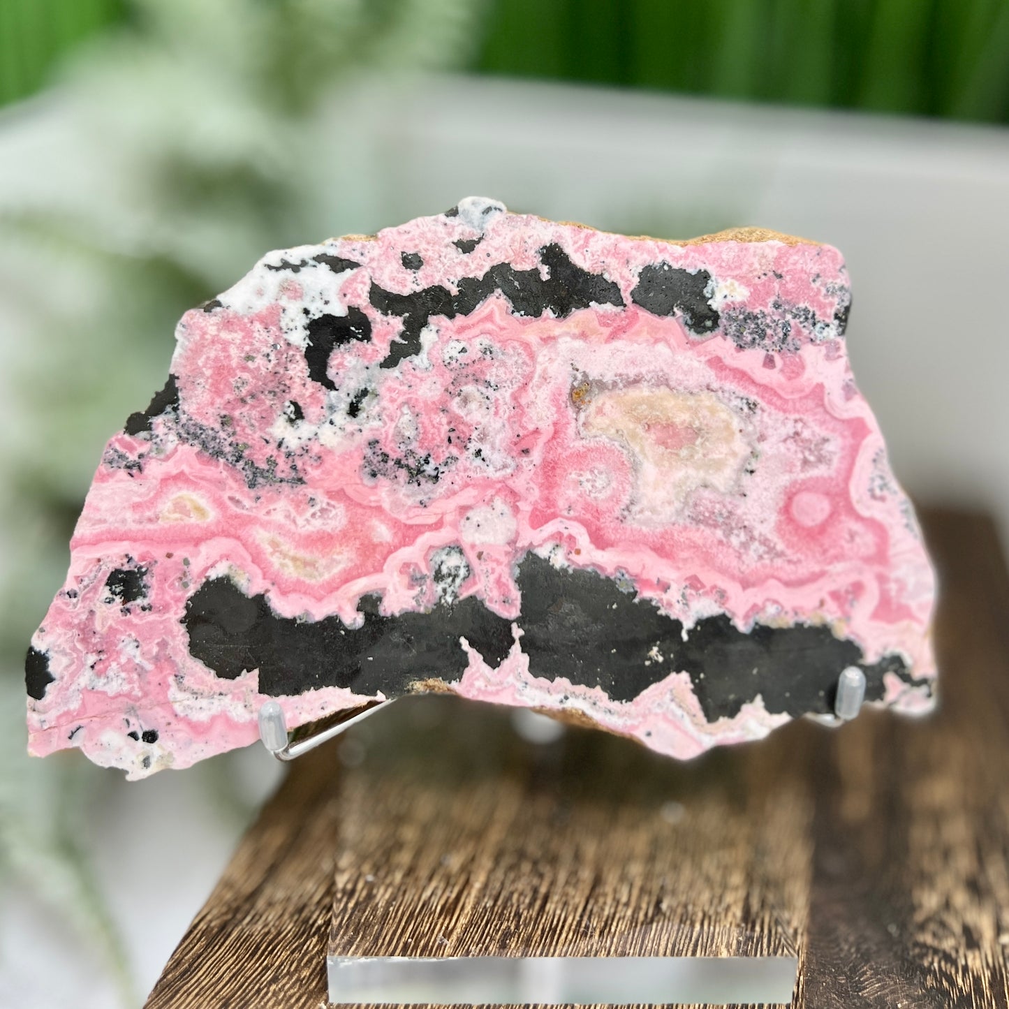 Peruvian Rhodonite Slice with Stand Healing Crystal Specimen Slab 442g