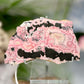 Peruvian Rhodonite Slice with Stand Healing Crystal Specimen Slab 442g