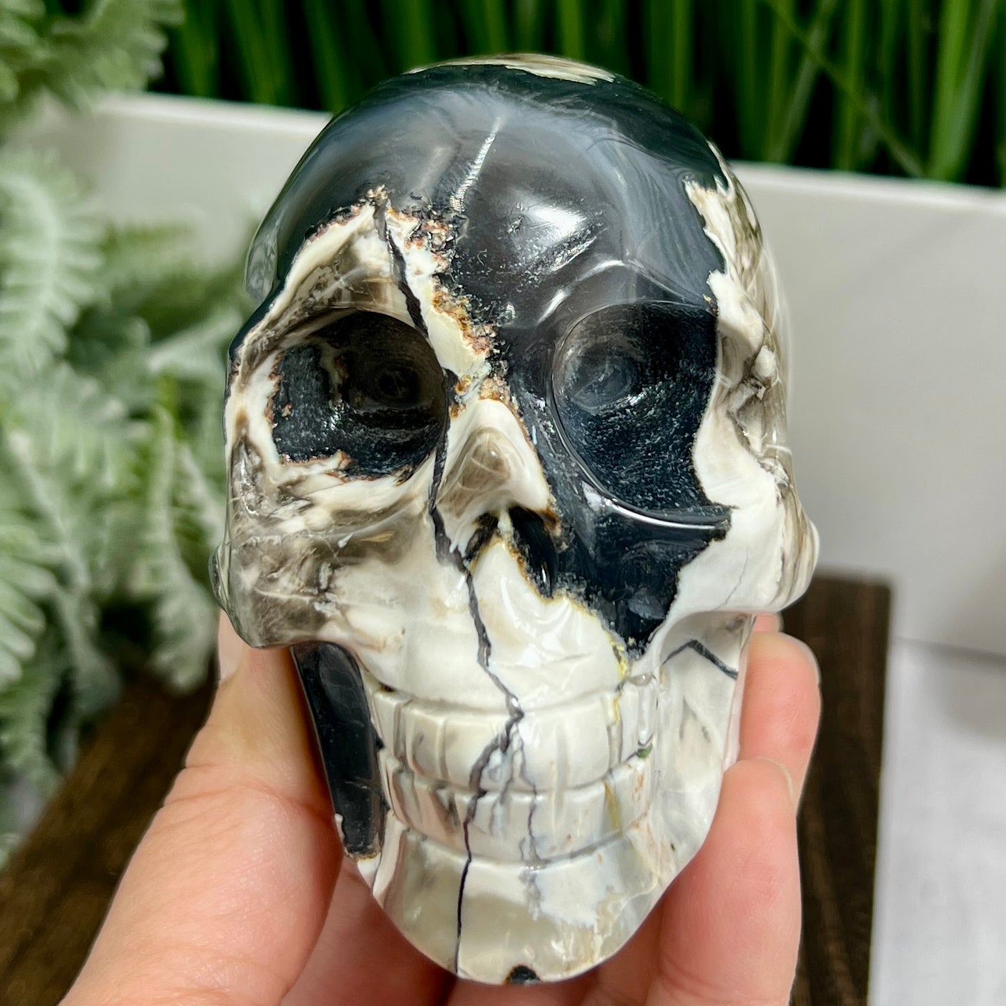 Volcanic Agate Skull UV Reactive Healing Crystal Carving 588g