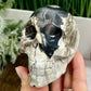 Volcanic Agate Skull UV Reactive Healing Crystal Carving 588g