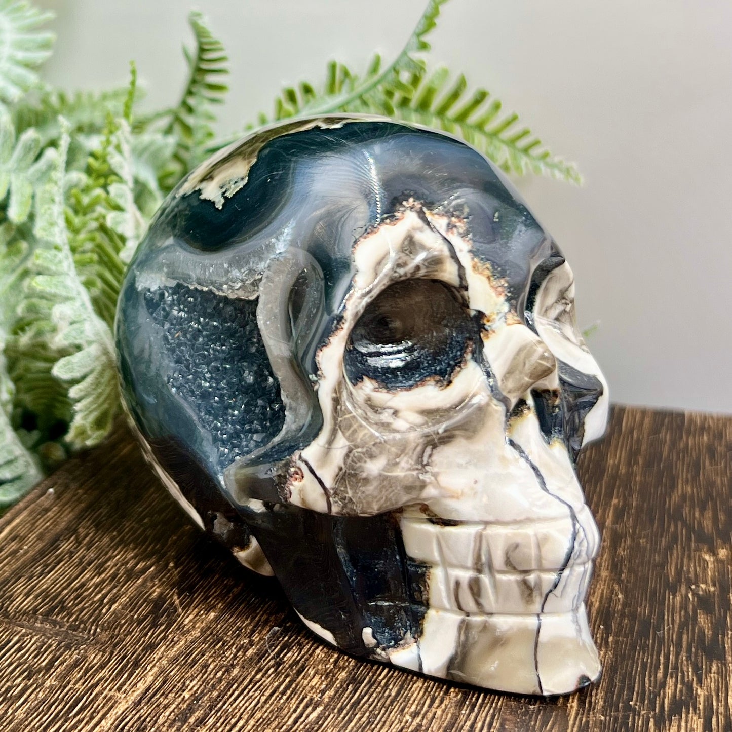 Volcanic Agate Skull UV Reactive Healing Crystal Carving 588g