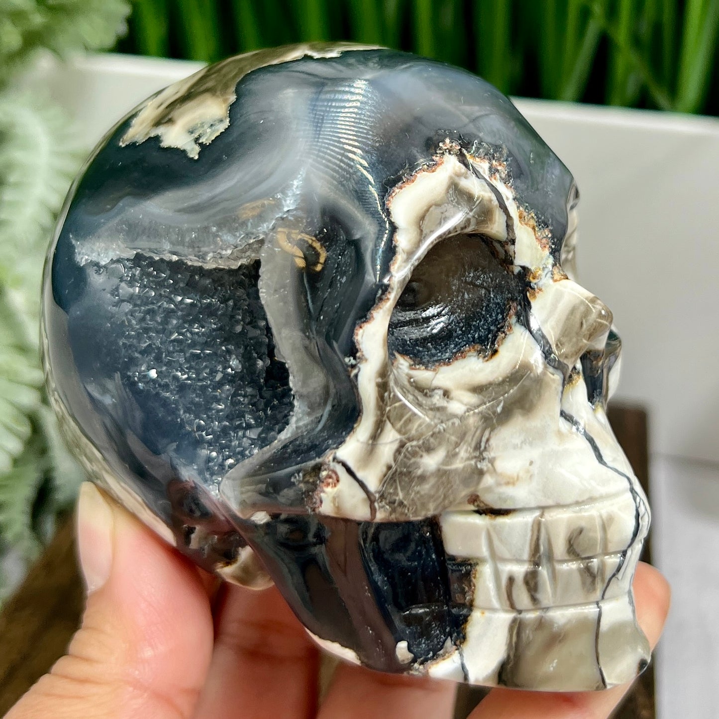 Volcanic Agate Skull UV Reactive Healing Crystal Carving 588g