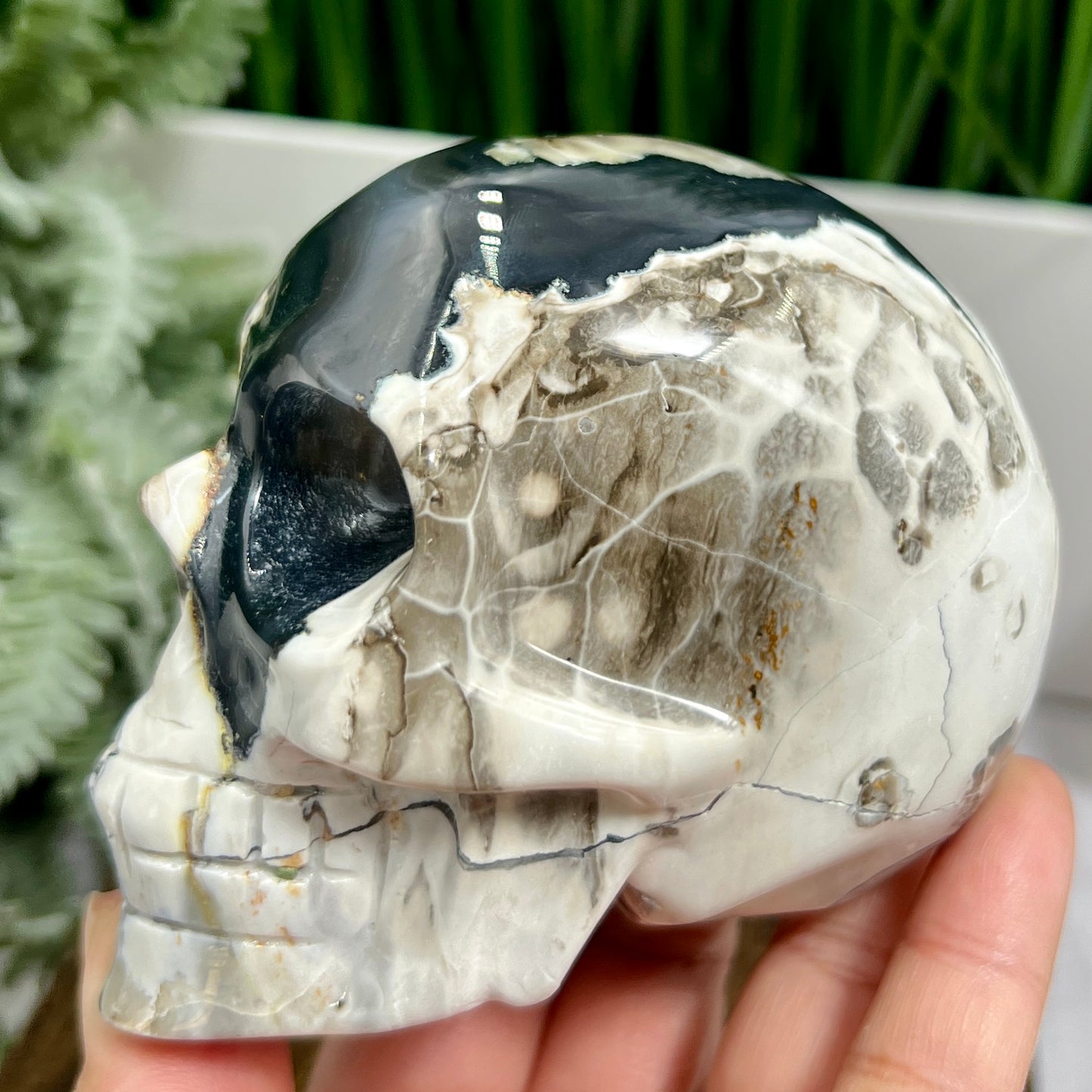 Volcanic Agate Skull UV Reactive Healing Crystal Carving 588g