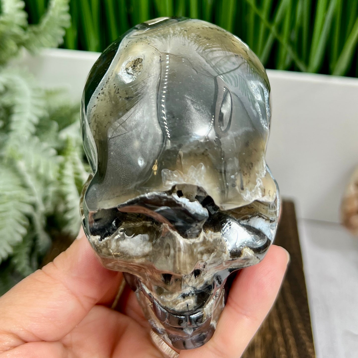 Volcanic Agate Skull UV Reactive Healing Crystal Carving 542g