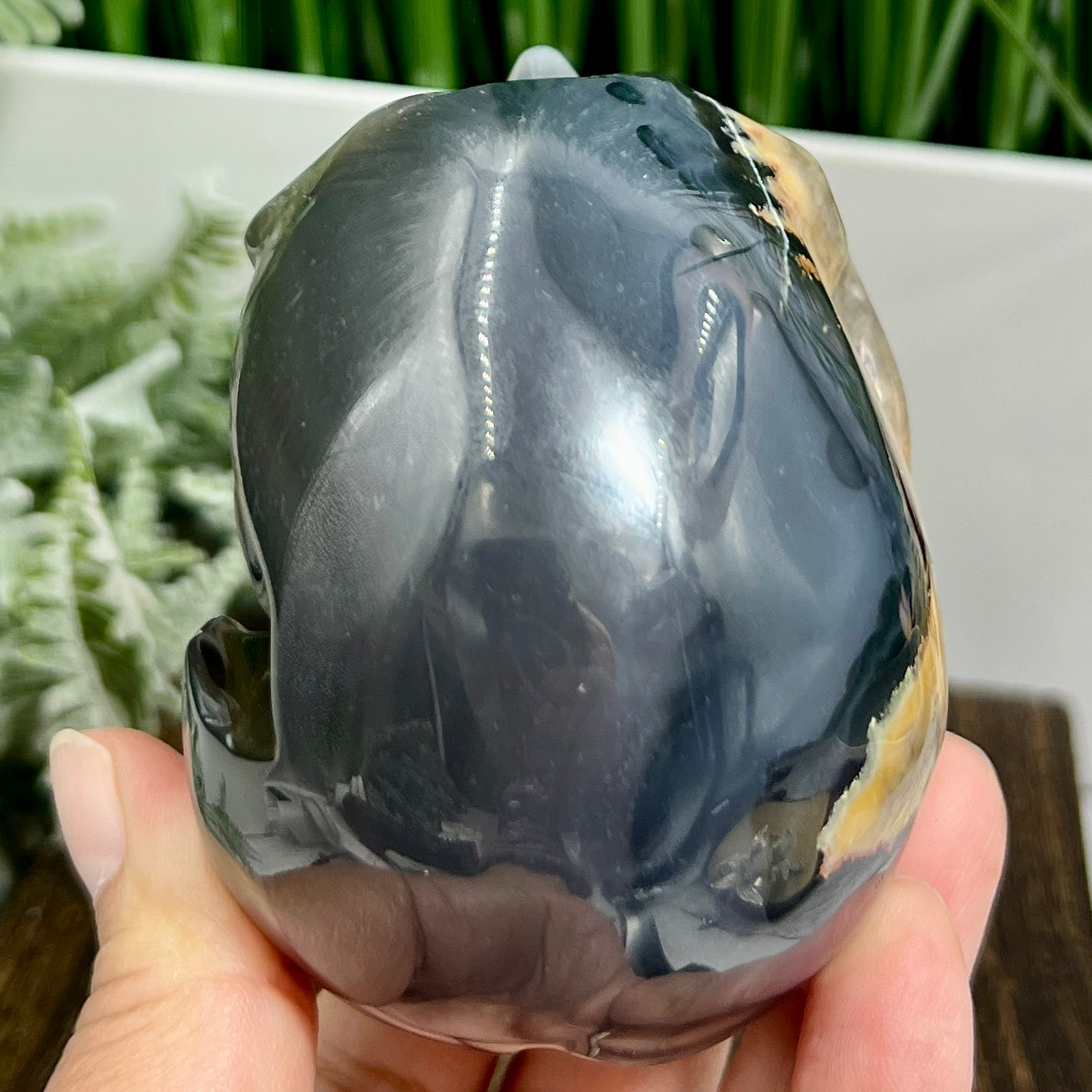 Volcanic Agate Skull UV Reactive Healing Crystal Carving 570g