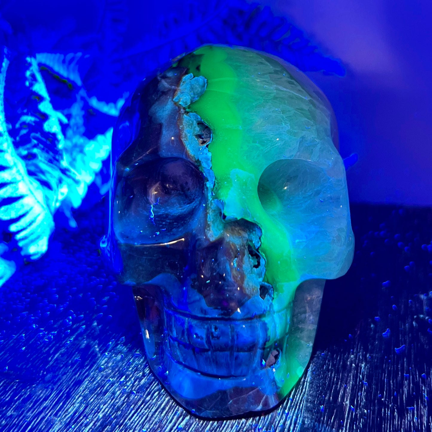 Volcanic Agate Quartz Skull UV Reactive Healing Crystal Carving 582g