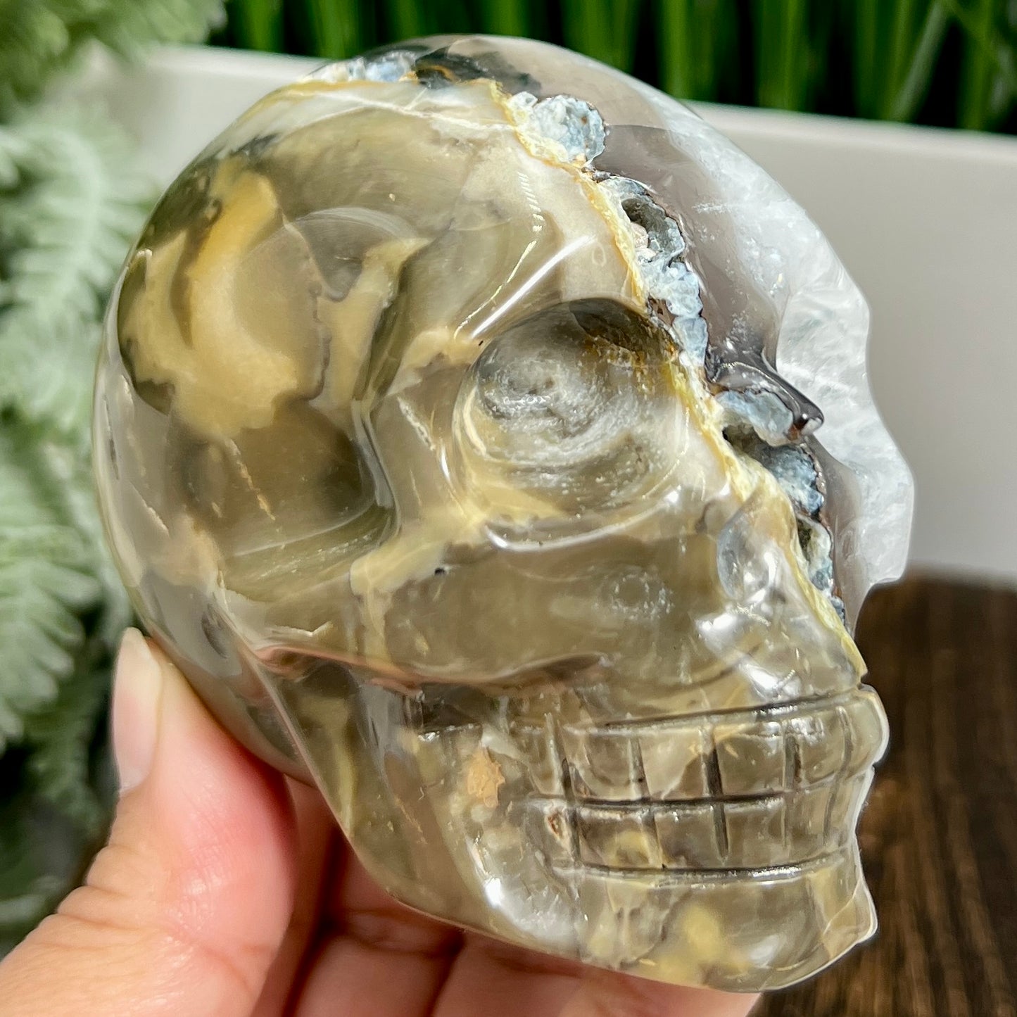 Volcanic Agate Quartz Skull UV Reactive Healing Crystal Carving 582g