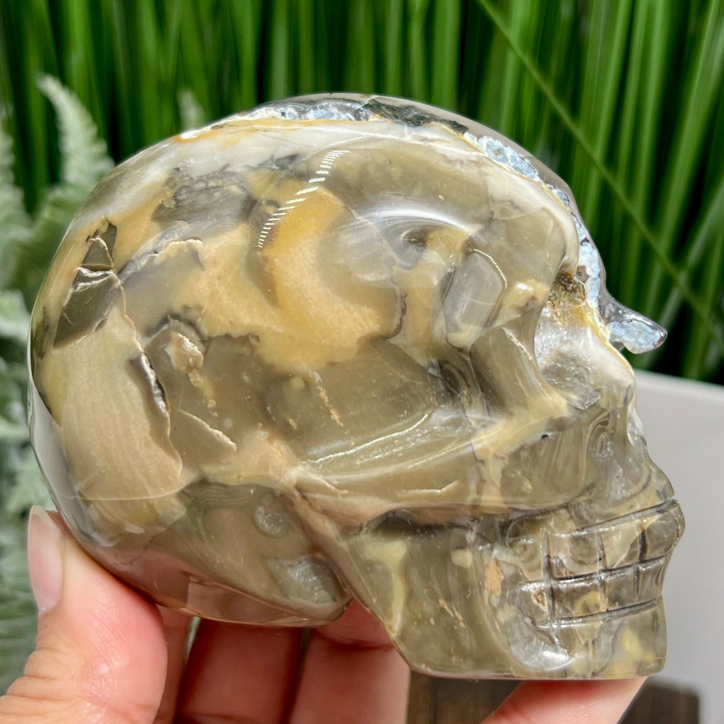 Volcanic Agate Quartz Skull UV Reactive Healing Crystal Carving 582g