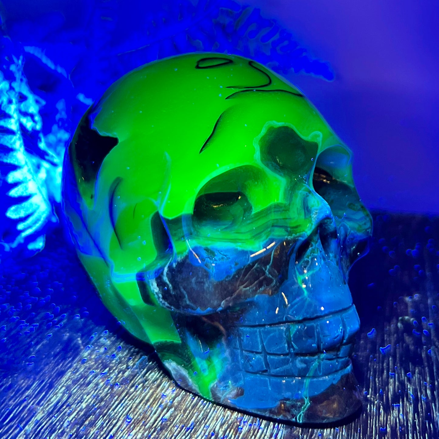 Volcanic Agate Skull UV Reactive Healing Crystal Carving 524g