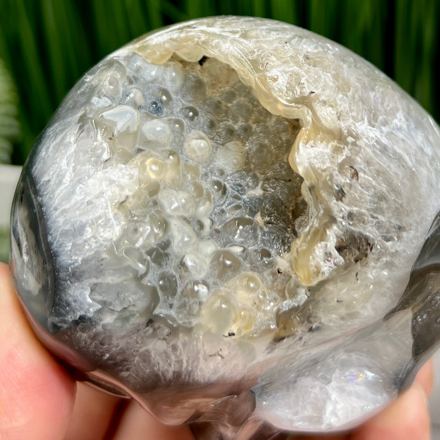 Volcanic Agate Quartz Skull UV Reactive Healing Crystal Carving 500g