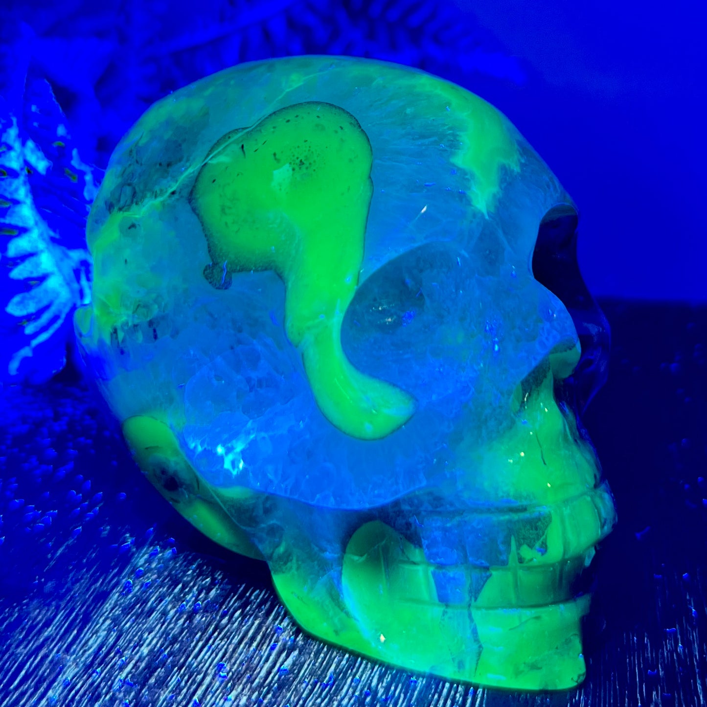 Volcanic Agate Quartz Skull UV Reactive Healing Crystal Carving 500g