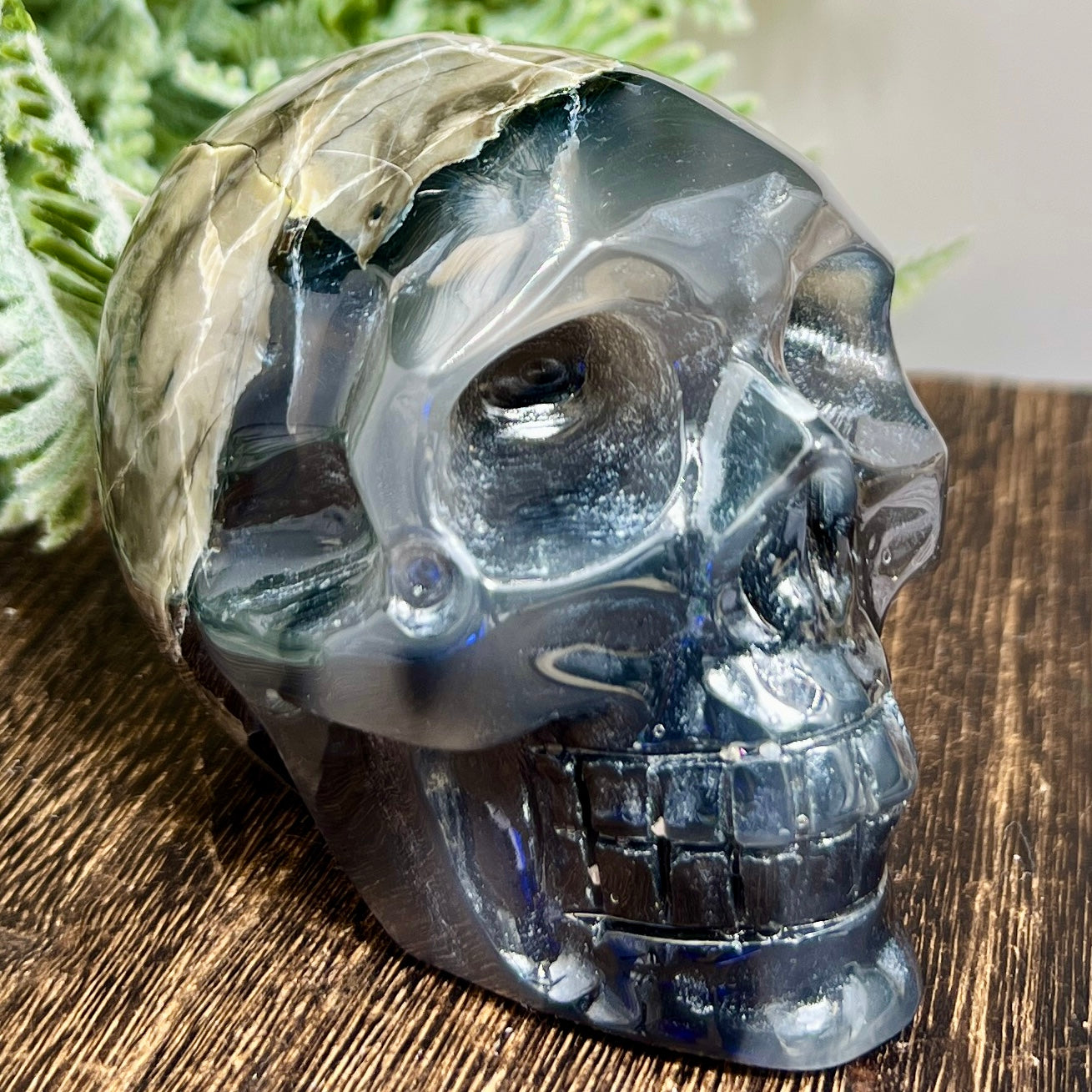 Volcanic Agate Skull UV Reactive Healing Crystal Carving 420g