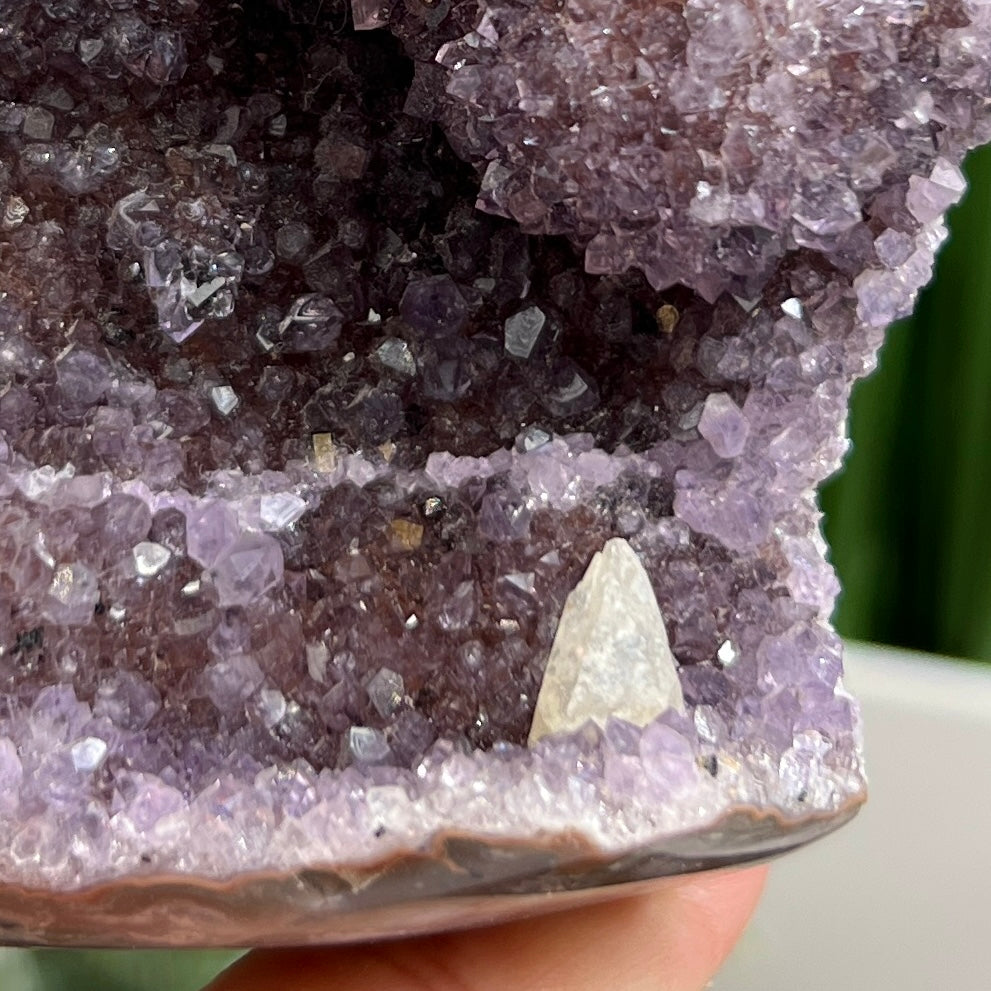 Amethyst with Calcite Geode Cluster Cave Healing Natural Crystal 528g