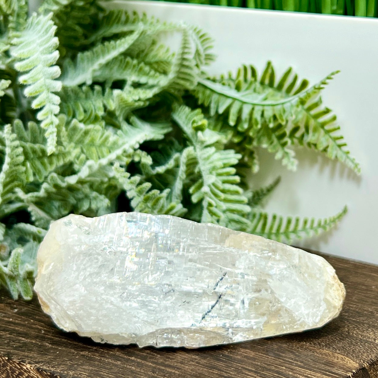 Lemurian Seed Quartz Black Tourmaline Raw Natural Crystal Specimen 218g