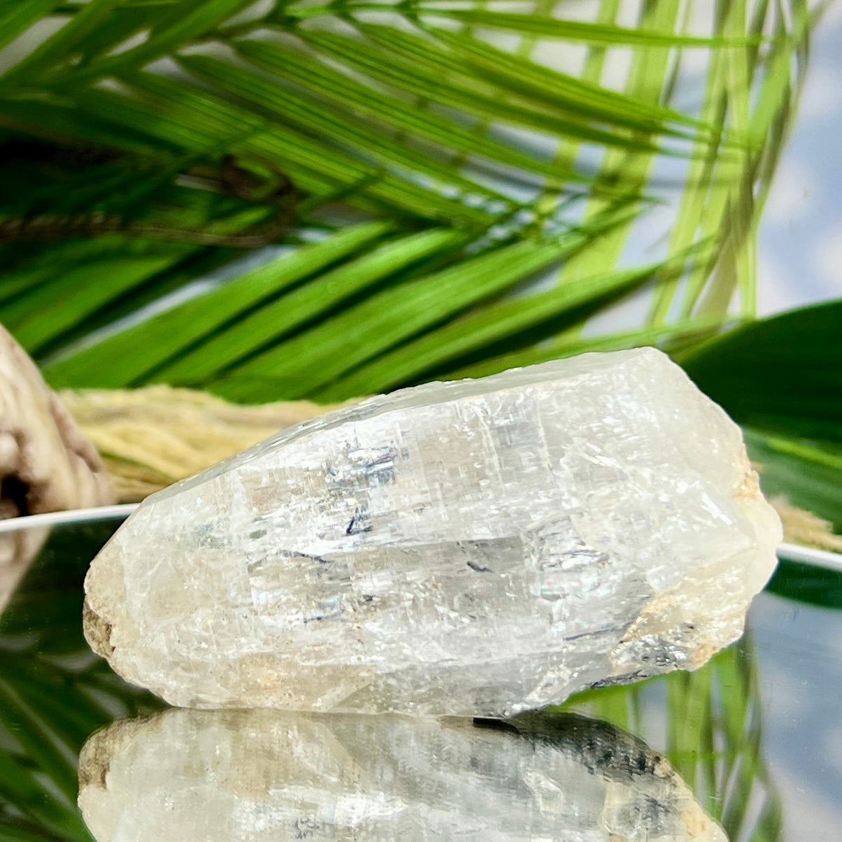 Lemurian Seed Quartz Black Tourmaline Raw Natural Crystal Specimen 218g