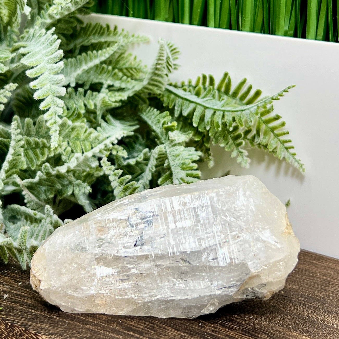 Lemurian Seed Quartz Black Tourmaline Raw Natural Crystal Specimen 218g