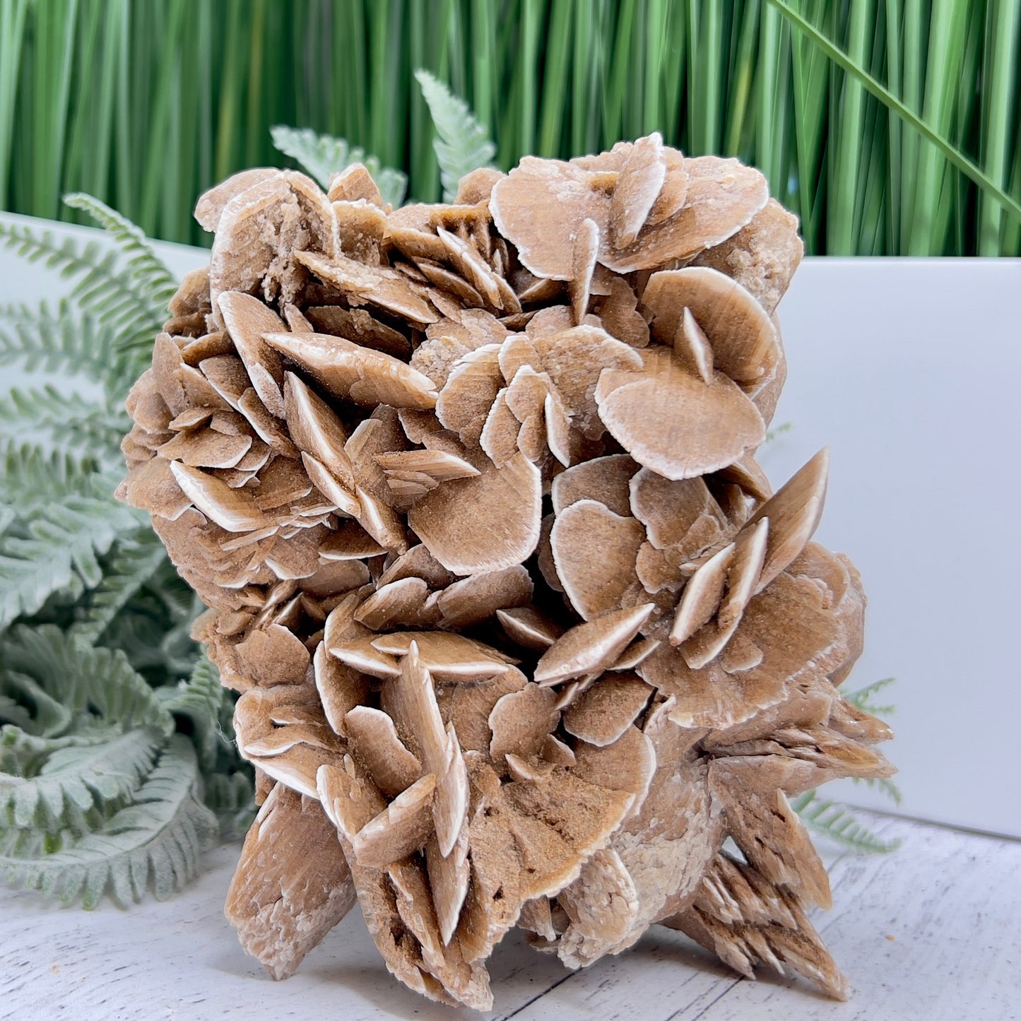 Large Desert Rose Selenite Gypsum Cluster Specimen Natural Crystal 1100g