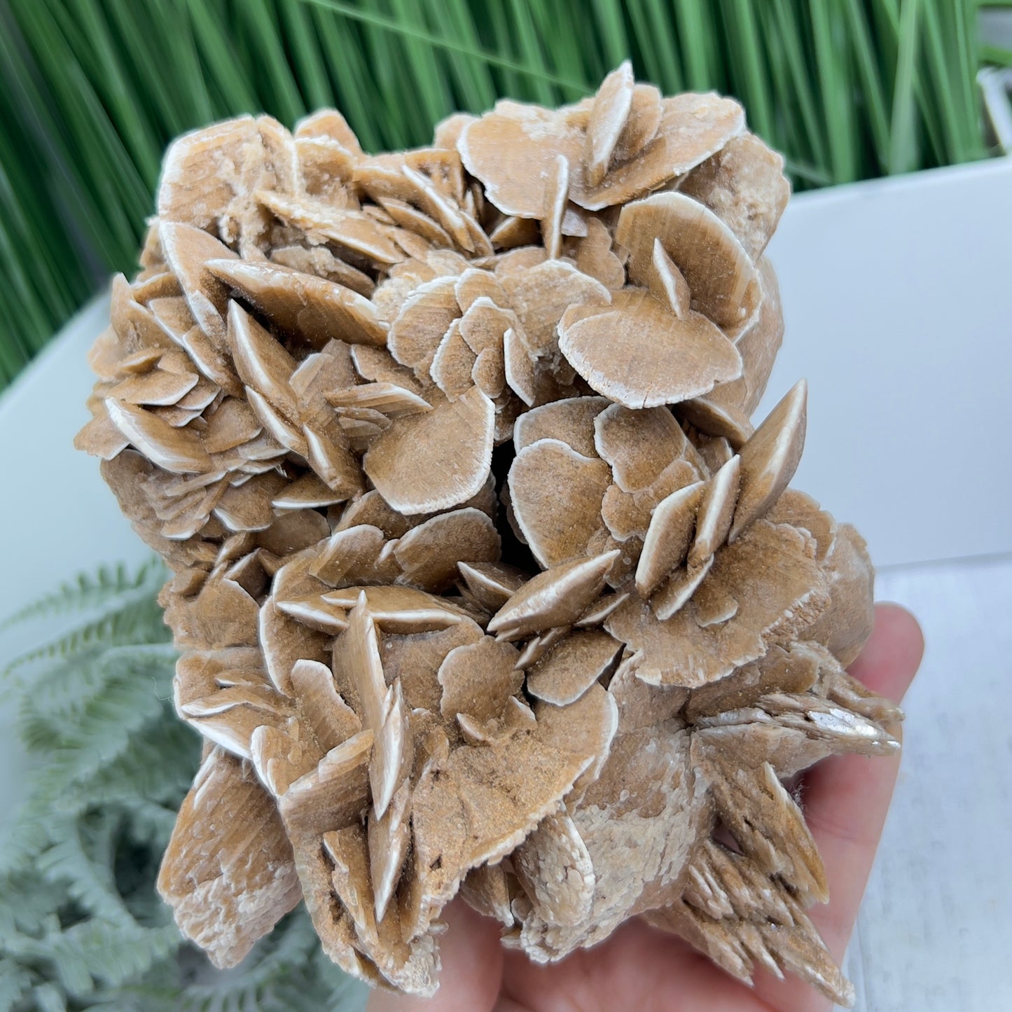 Large Desert Rose Selenite Gypsum Cluster Specimen Natural Crystal 1100g