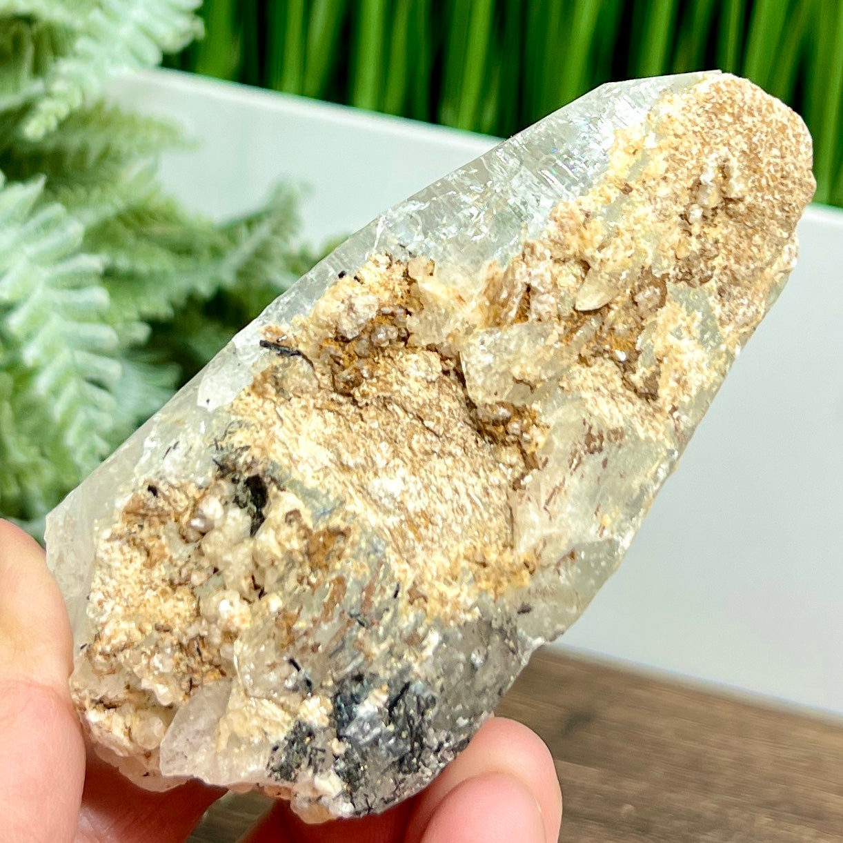 Lemurian Seed Quartz Black Tourmaline Raw Natural Crystal Specimen 218g