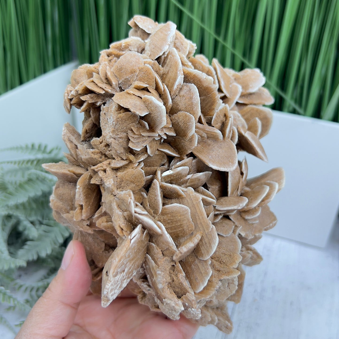 Large Desert Rose Selenite Gypsum Cluster Specimen Natural Crystal 1100g