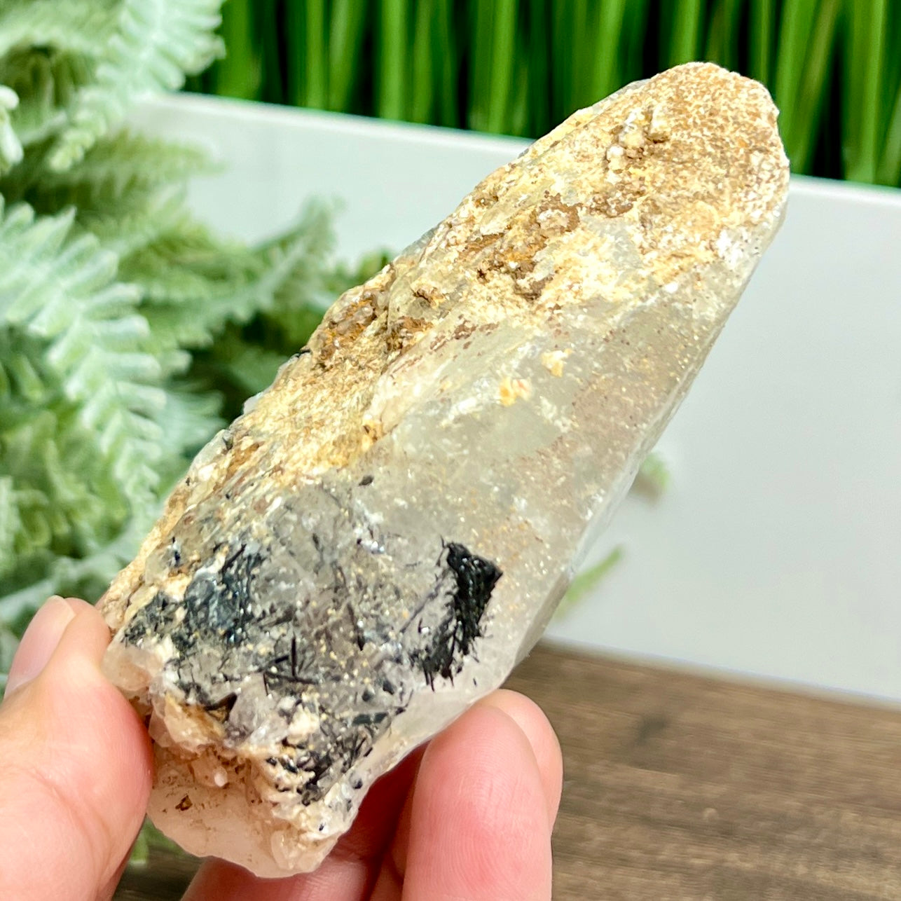 Lemurian Seed Quartz Black Tourmaline Raw Natural Crystal Specimen 218g