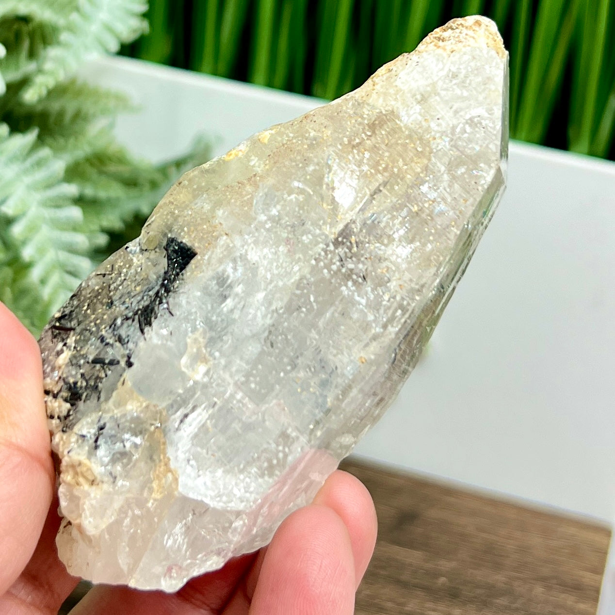 Lemurian Seed Quartz Black Tourmaline Raw Natural Crystal Specimen 218g