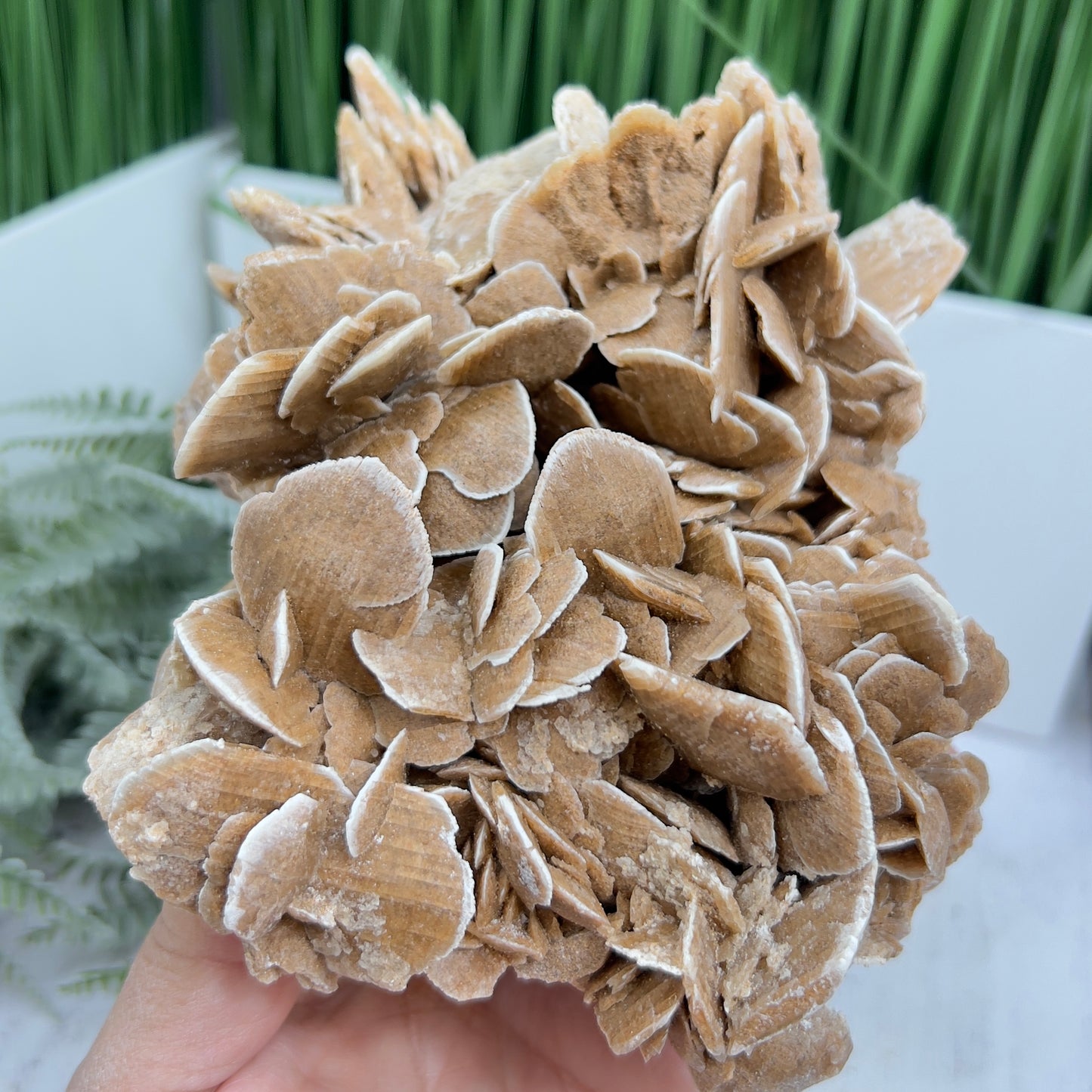 Large Desert Rose Selenite Gypsum Cluster Specimen Natural Crystal 1100g