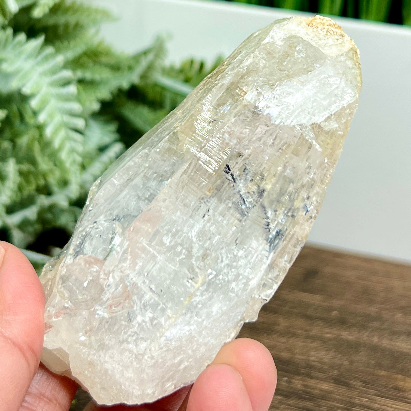 Lemurian Seed Quartz Black Tourmaline Raw Natural Crystal Specimen 218g