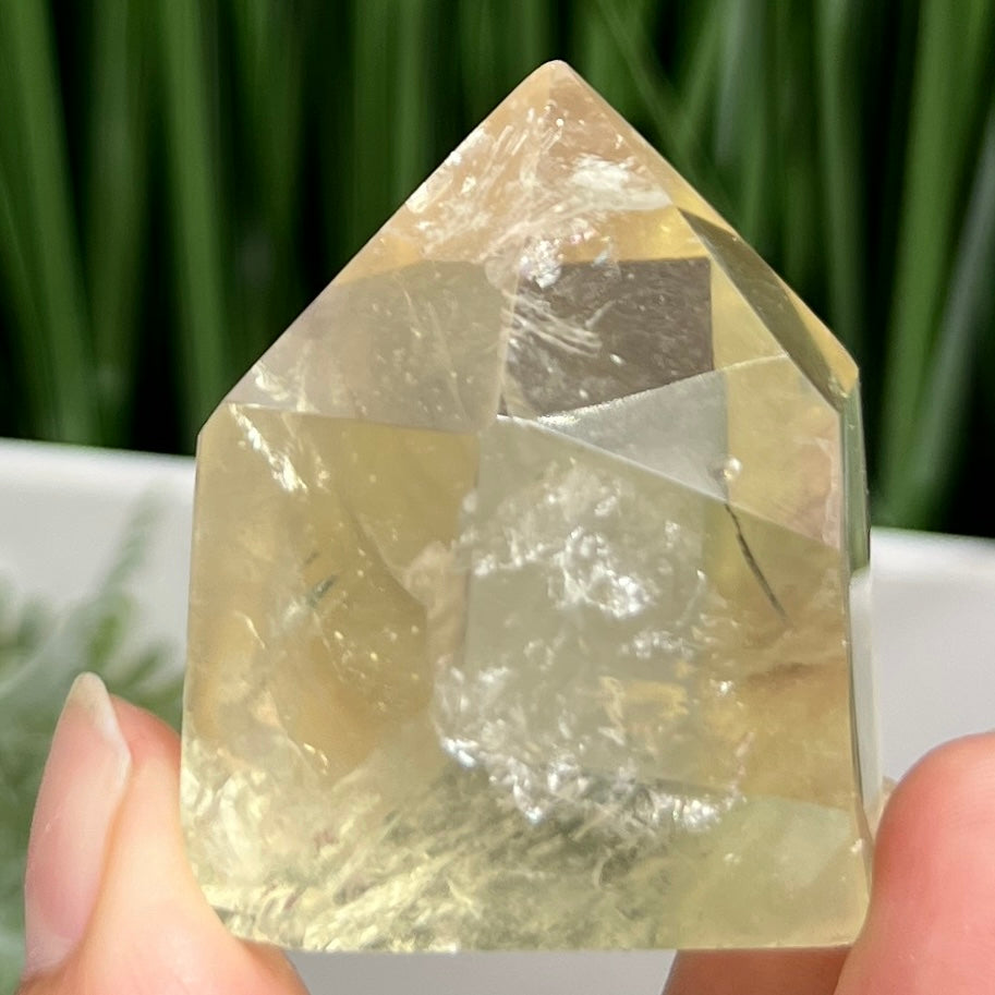 Citrine Tower Point Natural Healing Crystal Generator 60g