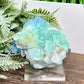 RARE Fluorite Aqua With Stand Cluster Natural Specimen 242g