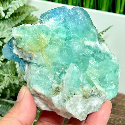 RARE Fluorite Aqua With Stand Cluster Natural Specimen 242g